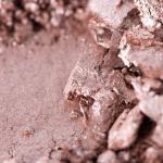 Highlighter Godet - Covent Garden