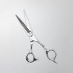 Professional Hair Cutting Shears
