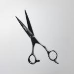 Professional Hair Cutting Shears