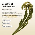 Vegan Collagen eye patch Jericho rose jelly