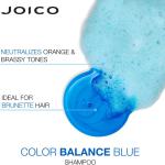 Color Balance Blue Shampoo / 10.1 oz. by Joico