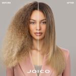 Joico Dream Blowout Glass 72HR Frizz Fighter / 2 oz.