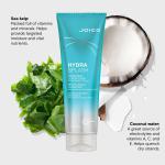 HydraSplash Hydrating Conditioner / 8.5 oz. by Joico