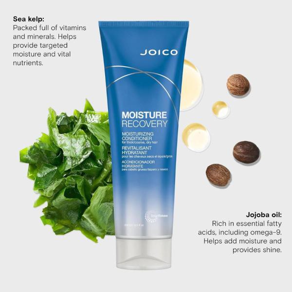 Moisture Recovery Conditioner / 8.5 oz. by Joico