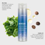 Moisture Recovery Shampoo / 10.1 oz. by Joico