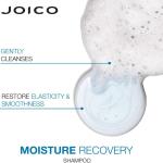 Moisture Recovery Shampoo / 33.8 fl. oz. - 1 Liter by Joico