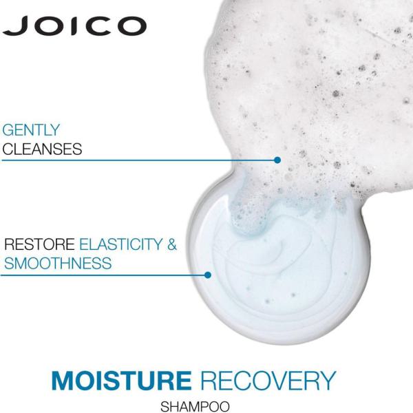Moisture Recovery Shampoo / 33.8 fl. oz. - 1 Liter by Joico