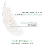 Scalp Vitality Exfoliating Foaming Scrub / 6 oz. by Joico