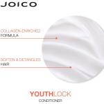 YouthLock Conditioner / 8.5 oz. by Joico