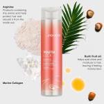 YouthLock Shampoo / 10.1 oz. by Joico