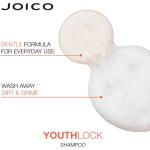 YouthLock Shampoo / 10.1 oz. by Joico
