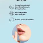 Lip Plump - Refresh AHA BHA Vitamin C Lip Plumper