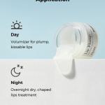 Lip Plump - Refresh AHA BHA Vitamin C Lip Plumper