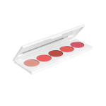Signature Palette - Lipstick Nudes