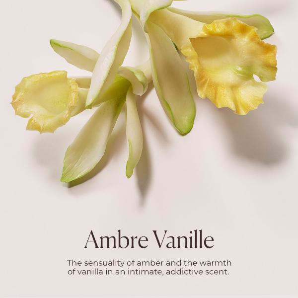 Delicious &amp; Decadent Ambre Vanille Collection