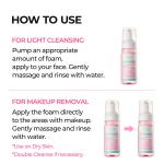 Melting Cleanser