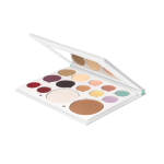 Pro Palette - Mixed Face Makeup