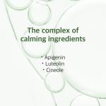 Mugwort Calming Cleanser