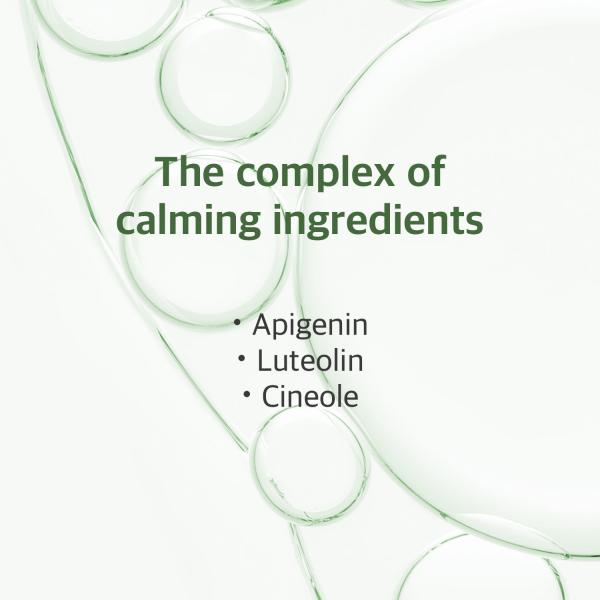 Mugwort Calming Cleanser