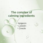 Mugwort Calming Toner