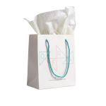 Paper Gift Bag (6.5x8")