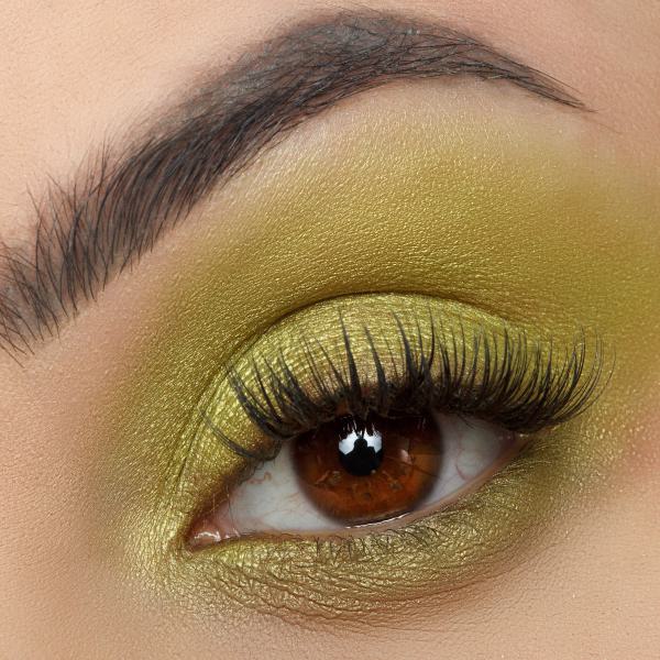 Signature Palette - Empowered