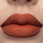 Long Lasting Liquid Lipstick - Canyon