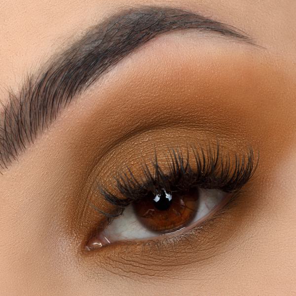 Signature Palette - Empowered