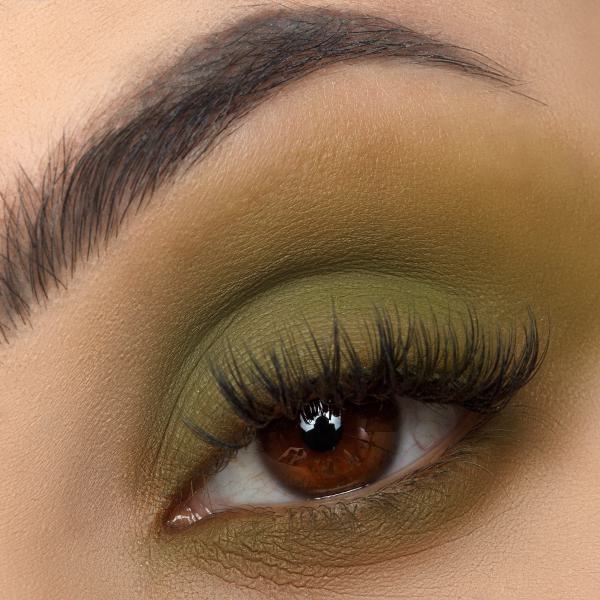Signature Palette - Empowered