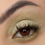 Signature Palette - Empowered