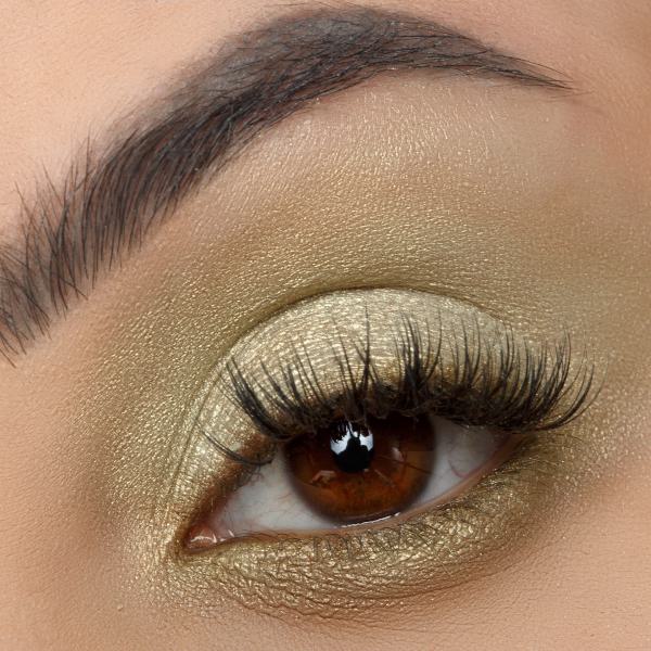 Signature Palette - Empowered