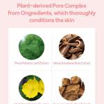 Ongredients Pore Cleansing Pad 160g