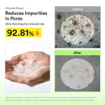 Pore clay pack cleanser Heartleaf charcoal foam
