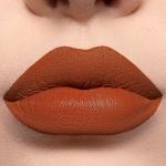 Long Lasting Liquid Lipstick - PSL