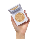 Highlighter - Pumpkin Pie
