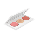 Midi Palette - Sitting Pretty