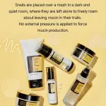 Advanced Snail Peptide Eye Cream