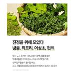 SOME BY MI Super Matcha Pore Clean Clay Mask 100g