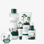 Pine Cica Calming Routine Bundle