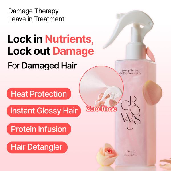 Damage Therapy No-Wash Treatment EX (250ml / 8.54 fl.oz.)