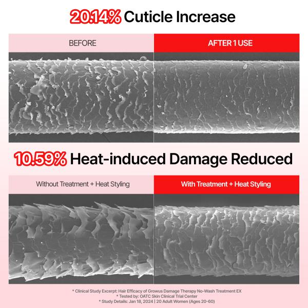 Damage Therapy No-Wash Treatment EX (250ml / 8.54 fl.oz.)