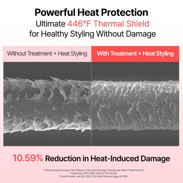 Damage Therapy No-Wash Treatment EX (250ml / 8.54 fl.oz.)