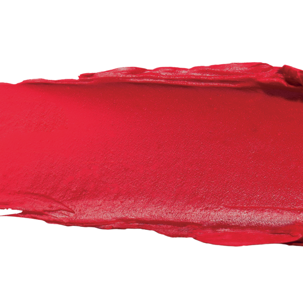 Long Lasting Liquid Lip Set - Gone MIA
